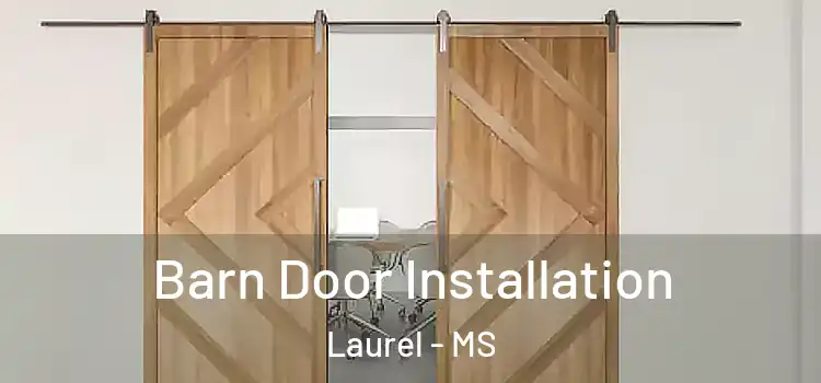  Barn Door Installation Laurel - MS