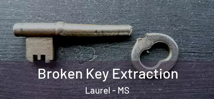 Broken Key Extraction Laurel - MS