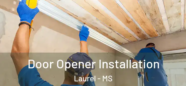  Door Opener Installation Laurel - MS