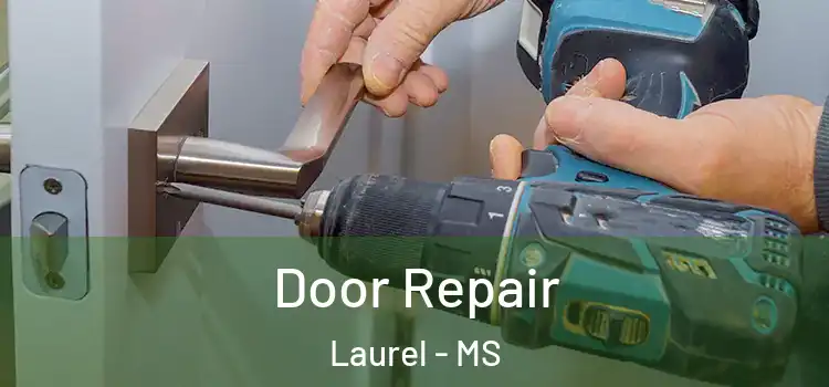  Door Repair Laurel - MS