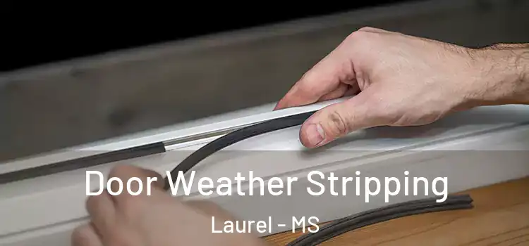  Door Weather Stripping Laurel - MS