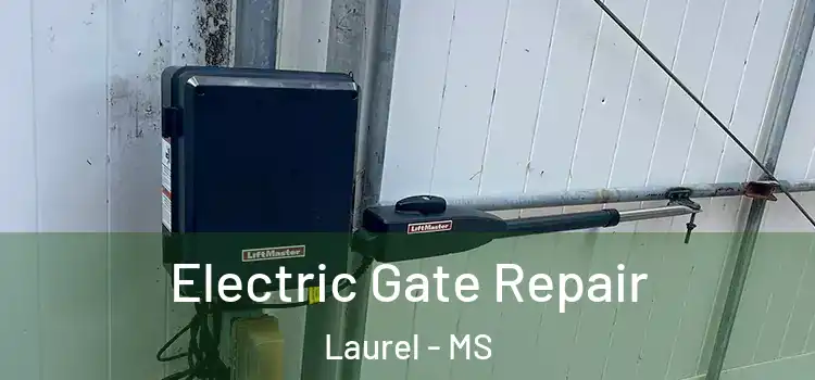  Electric Gate Repair Laurel - MS