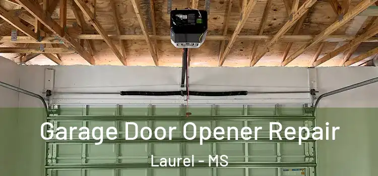  Garage Door Opener Repair Laurel - MS
