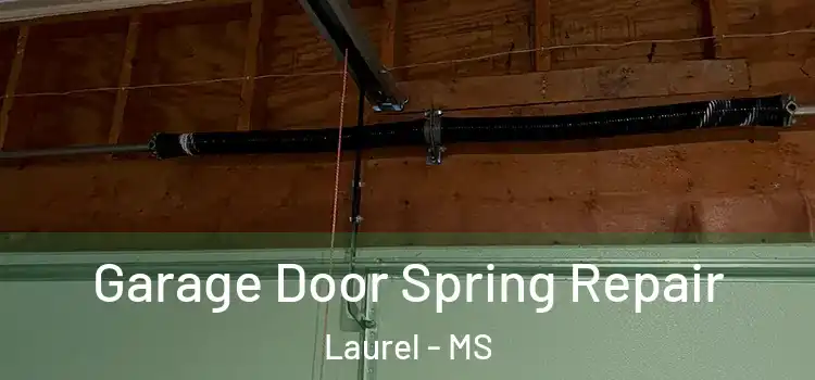  Garage Door Spring Repair Laurel - MS